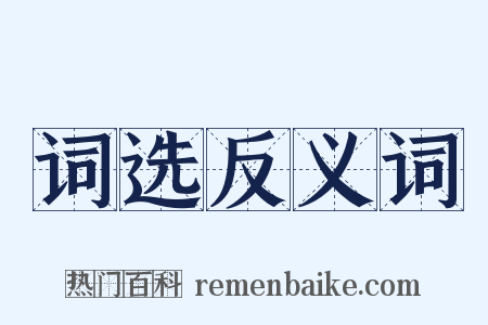 词选反义词是什么意思的图片